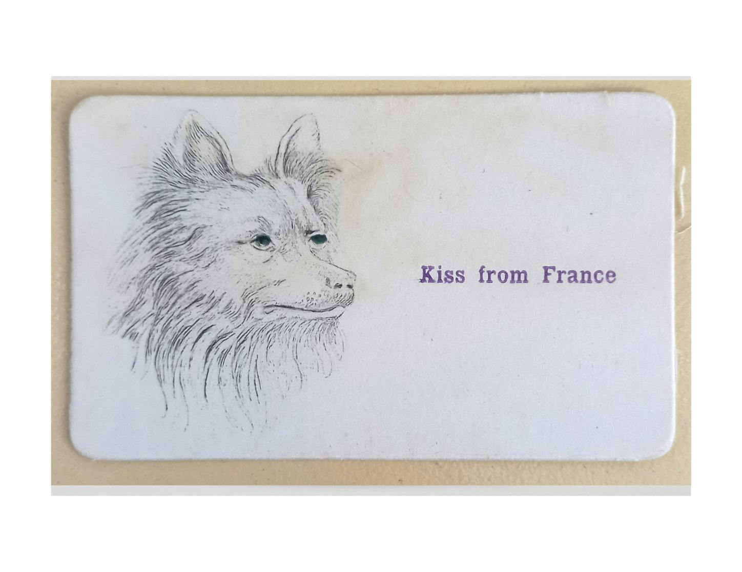 Dog and a Kiss from France